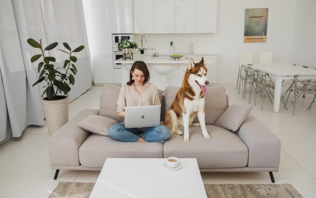 Decorating Your Apartment with Pets in Mind: Stylish and Practical Tips